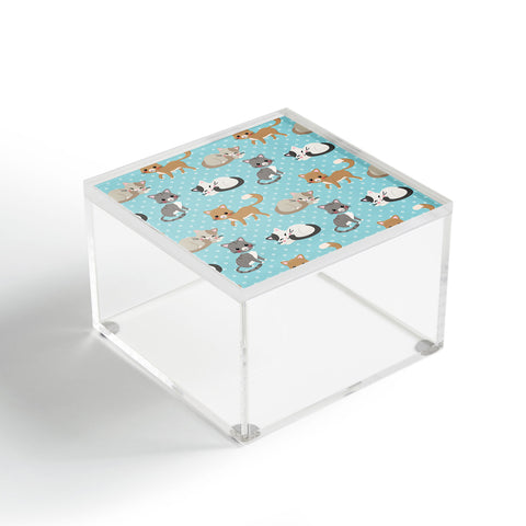 Avenie Cat Pattern Blue Acrylic Box