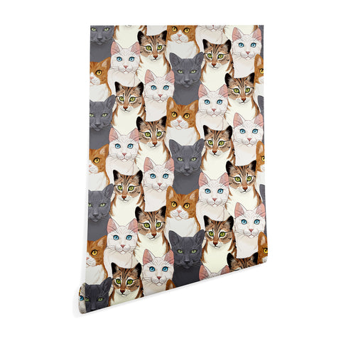 Avenie Cat Portraits Wallpaper