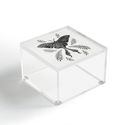 Avenie Luna Moth Black and White Acrylic Box