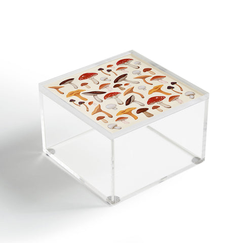 Avenie Mushroom Collection Acrylic Box