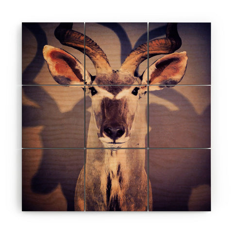 Ballack Art House Africa Wood Wall Mural
