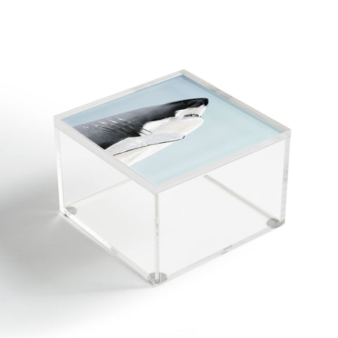 Ballack Art House Cape Fear Acrylic Box