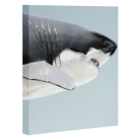 Ballack Art House Cape Fear Art Canvas