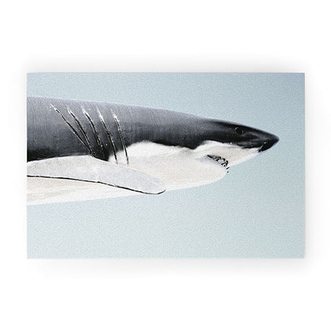 Ballack Art House Cape Fear Welcome Mat