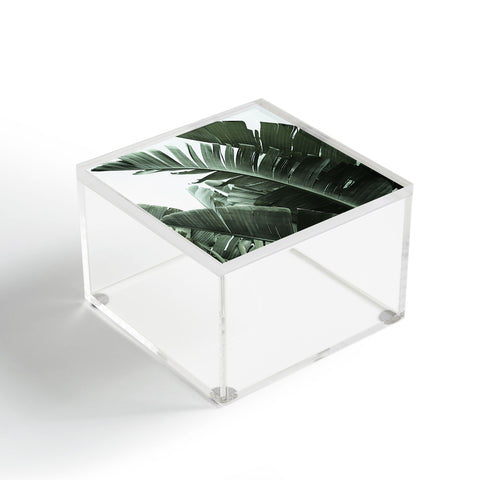 Ballack Art House Jungle Boogie Acrylic Box