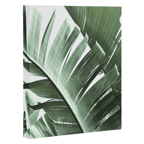 Ballack Art House Jungle Boogie Art Canvas