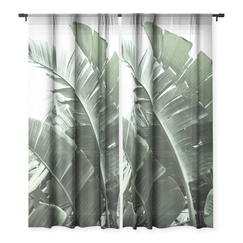 Ballack Art House Jungle Boogie Sheer Non Repeat