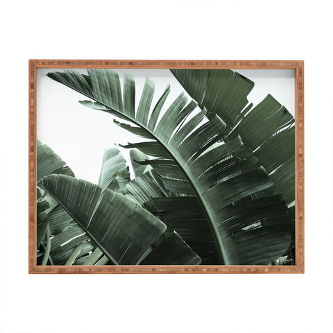 Ballack Art House Jungle Boogie Rectangular Tray