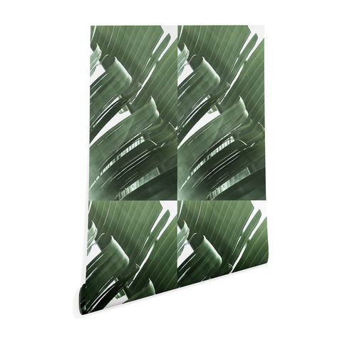 Ballack Art House Jungle Boogie Wallpaper