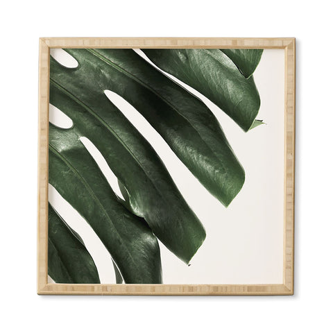 Ballack Art House Panama taste Framed Wall Art