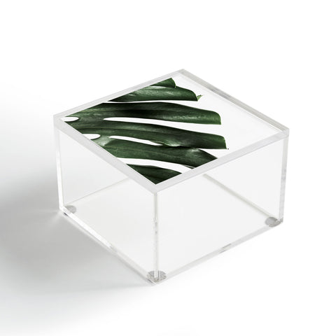 Ballack Art House Panama taste Acrylic Box