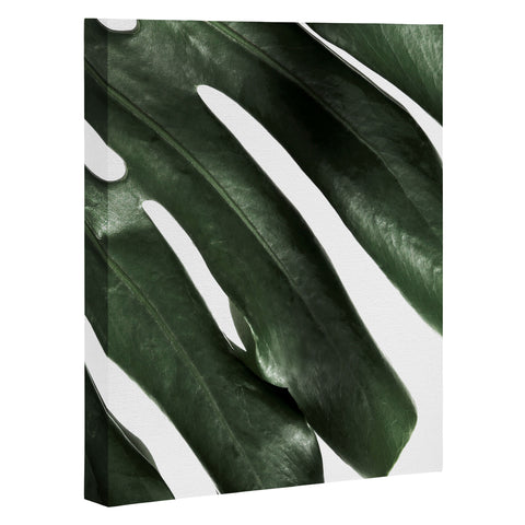 Ballack Art House Panama taste Art Canvas