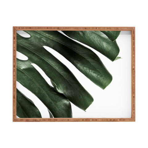 Ballack Art House Panama taste Rectangular Tray