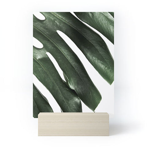 Ballack Art House Panama taste Mini Art Print