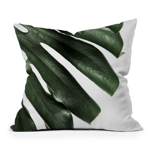 Ballack Art House Panama taste Outdoor Throw Pillow
