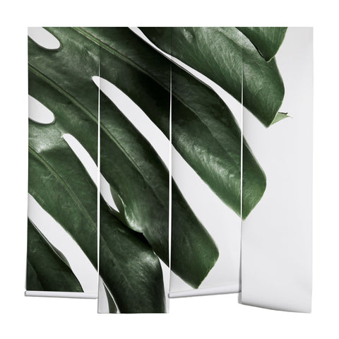 Ballack Art House Panama taste Wall Mural