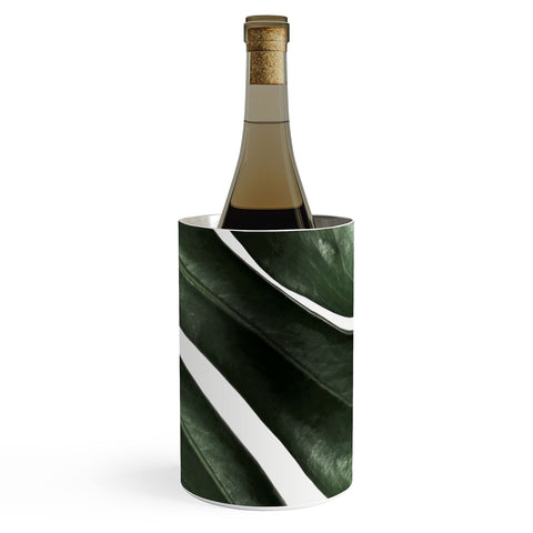 Ballack Art House Panama taste Wine Chiller