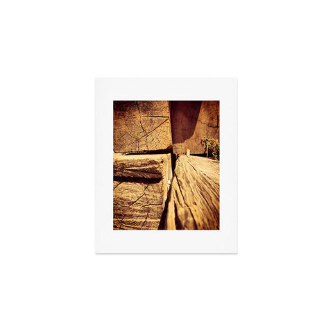 Ballack Art House Wood Play Art Print