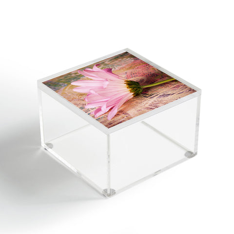 Barbara Sherman Antique Acrylic Box