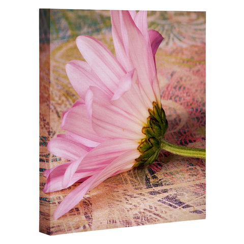 Barbara Sherman Antique Art Canvas