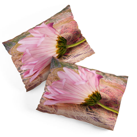 Barbara Sherman Antique Pillow Shams