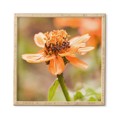 Barbara Sherman Beauty Framed Wall Art