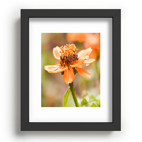 Barbara Sherman Beauty Recessed Framing Rectangle