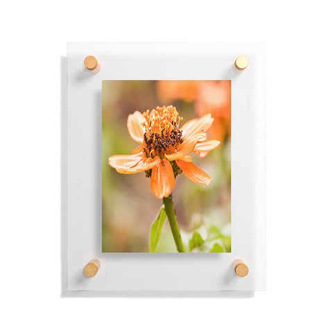 Barbara Sherman Beauty Floating Acrylic Print