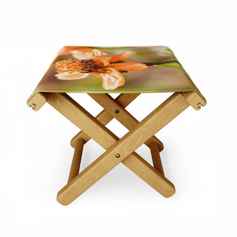 Barbara Sherman Beauty Folding Stool