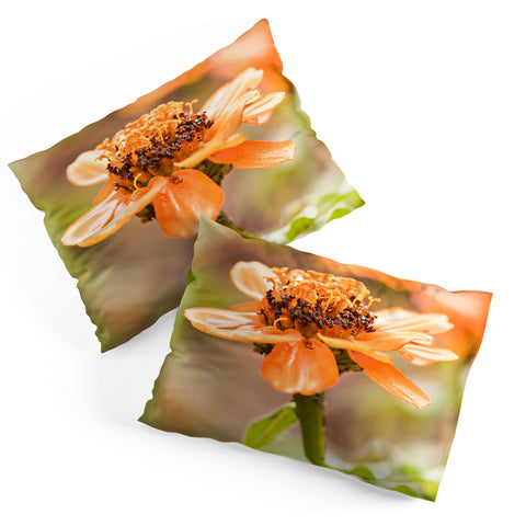 Barbara Sherman Beauty Pillow Shams