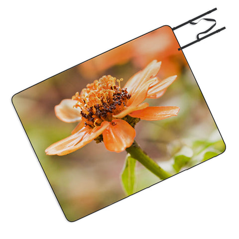 Barbara Sherman Beauty Picnic Blanket