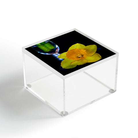 Barbara Sherman Daffodil Acrylic Box