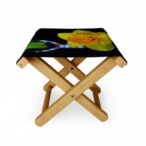 Barbara Sherman Daffodil Folding Stool