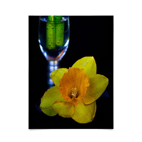 Barbara Sherman Daffodil Poster