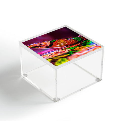 Barbara Sherman Dayglo Spoon Acrylic Box