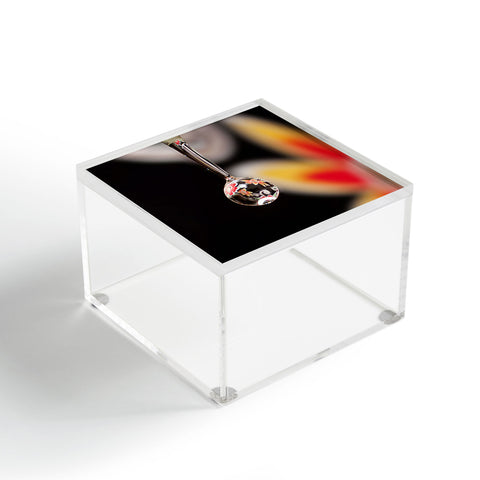 Barbara Sherman Floral Drop Acrylic Box