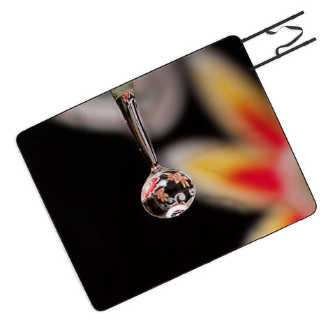 Barbara Sherman Floral Drop Picnic Blanket