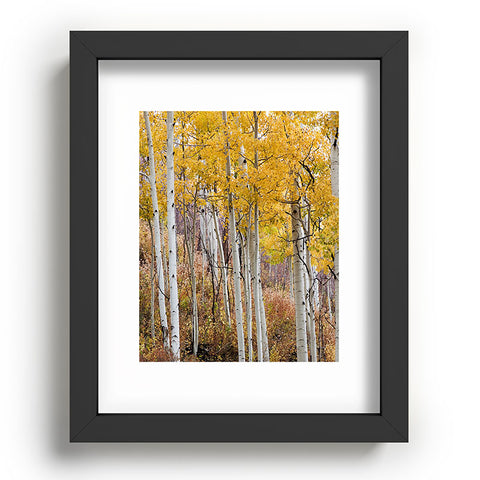 Barbara Sherman Golden Aspens Recessed Framing Rectangle