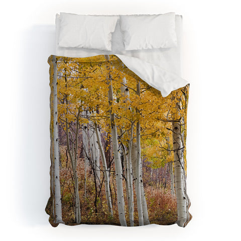 Barbara Sherman Golden Aspens Comforter