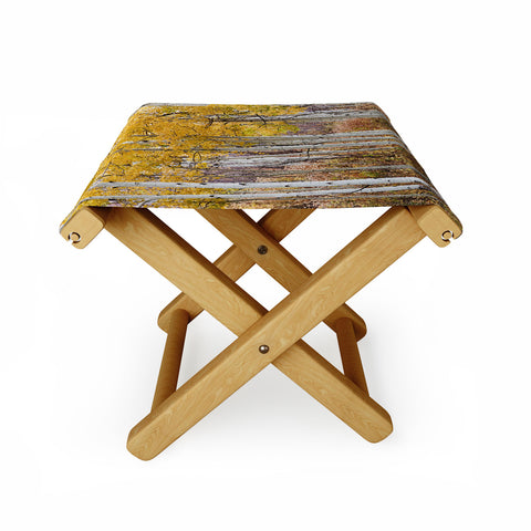 Barbara Sherman Golden Aspens Folding Stool