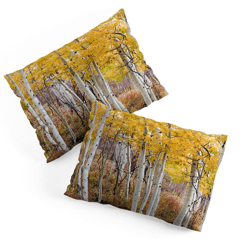 Barbara Sherman Golden Aspens Pillow Shams