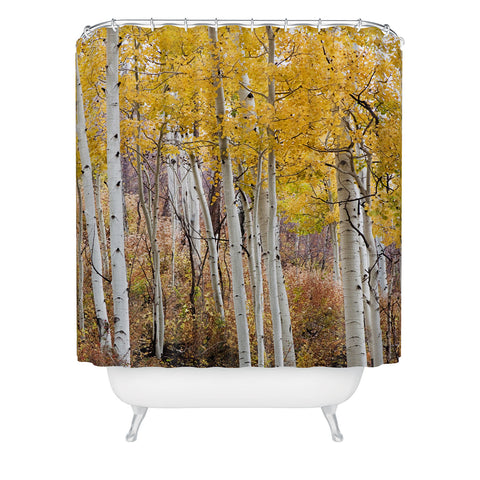 Barbara Sherman Golden Aspens Shower Curtain