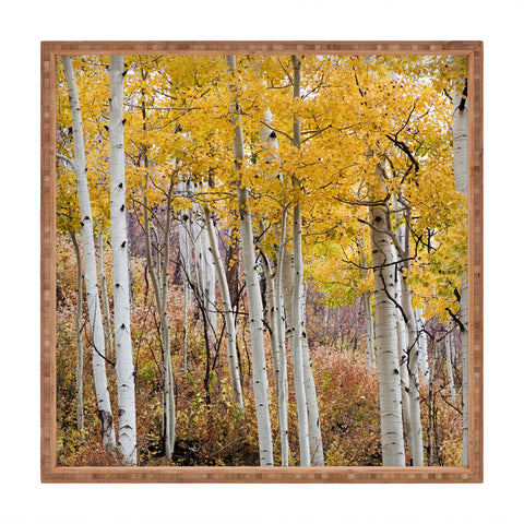 Barbara Sherman Golden Aspens Square Tray