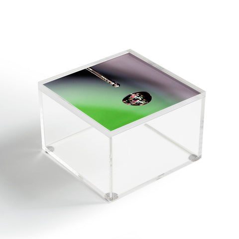 Barbara Sherman Jeweled Drop Acrylic Box