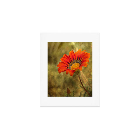 Barbara Sherman Orange Glory Art Print
