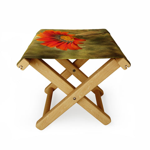 Barbara Sherman Orange Glory Folding Stool