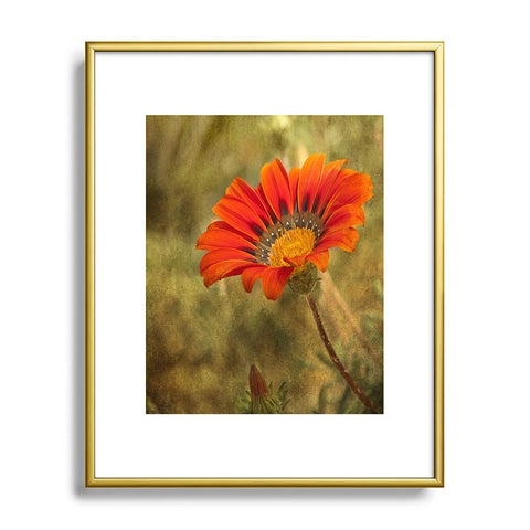 Barbara Sherman Orange Glory Metal Framed Art Print