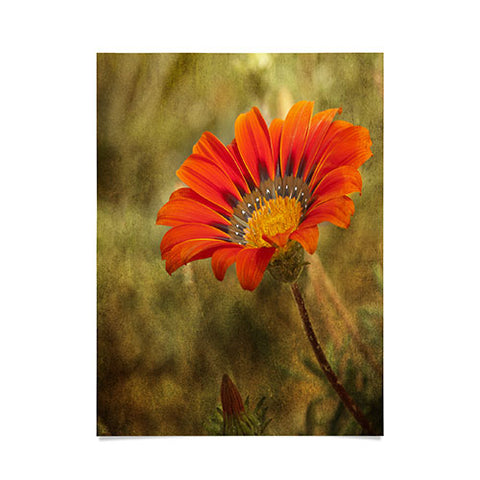 Barbara Sherman Orange Glory Poster