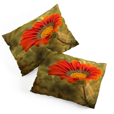 Barbara Sherman Orange Glory Pillow Shams