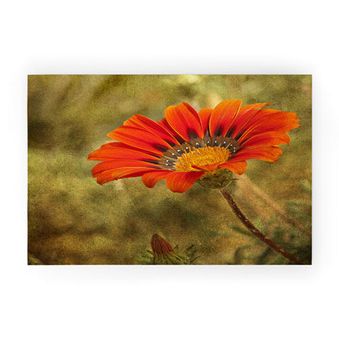 Barbara Sherman Orange Glory Welcome Mat